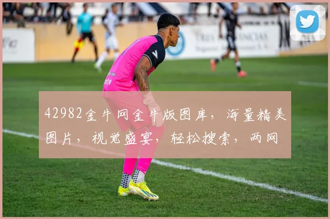 42982金牛网金牛版图库，海量精美图片，视觉盛宴，轻松搜索，两网互通，尽享乐趣
