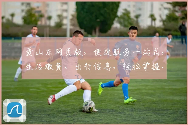 爱山东网页版，便捷服务一站式，生活缴费、出行信息，轻松掌握，智慧生活新体验