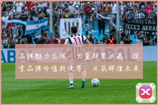 品牌魅力无限，力量凝聚共赢，探索品牌价值新境界，共筑辉煌未来