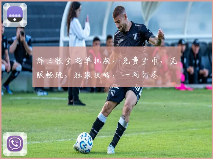 炸三张金花单机版，免费金币，无限畅玩，独家攻略，一网打尽