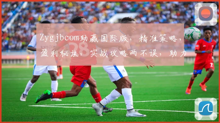 Zygjbcom助赢国际版，精准策略，盈利秘诀，实战攻略两不误，助力投资新篇章
